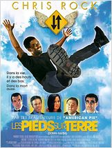 Les Pieds sur terre : Affiche