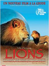Lions, combat de rois au Kalahari : Affiche