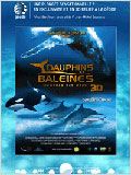 Dauphins et baleines 3D, nomades des mers : Affiche