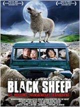 Black Sheep : Affiche