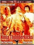 Ninjas Thunderkicks : Affiche