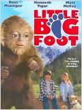 La Légende de Bigfoot : Affiche