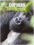 Saving a Species : Gorillas on the Brink (TV) : Affiche