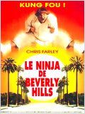 Le Ninja de Beverly Hills : Affiche