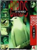 Birds of the World: The Master Builders : Affiche