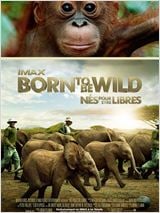 Born to Be Wild : Affiche
