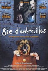 Sac d'embrouilles : Affiche