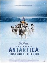 Antartica, prisonniers du froid : Affiche