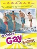 Another Gay Sequel : Gays gone wild ! : Affiche