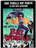 The Wild World of Batwoman : Affiche