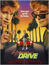 License to drive : Affiche